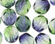 Czech Fire Polished Glass Dual Coated Blueberry/Green Tea Round 6mm