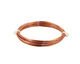 See the Coil