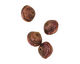 African Paper (chocolate, lilac, terra cotta) Bicone 14-15x16-17mm