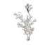 Ezel Findings Rhodium (plated) Coral Reef Link 43x27mm