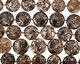 Turritella Agate Puff Coin 28-30mm
