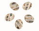 Abalone & Mother of Pearl Banded Mosaic Flat Oval 20x15mm