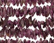 Amethyst Side Drilled Nugget 5-8x17-25mm
