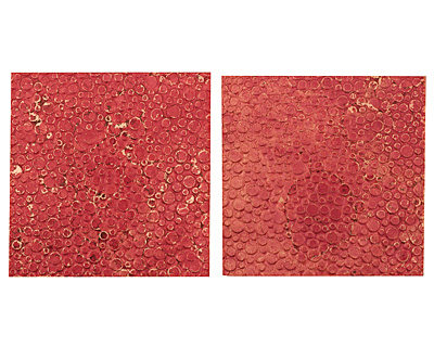 Lillypilly Red Wine Pebbles Embossed Patina Copper Sheet 3