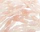 Rose Quartz Carved Flat Oval 30-32x10mm