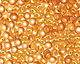 TOHO Topaz (with Silver Lining) Round 11/0 Seed Bead
