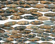 Blue Impression Jasper Rice 30-31x10mm