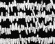 See Variance