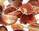 Orange Agate w/ Rings Natural Edge Freeform Slab 70-111x38-58mm