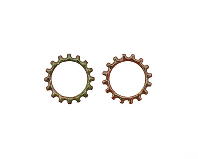 C-Koop Enameled Metal Olive Open Gear 19mm