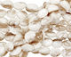 White Fresh Water Shell Nugget 18-21x13-16mm
