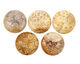 Fossil Coral Coin Pendant 40mm