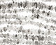 View Variance