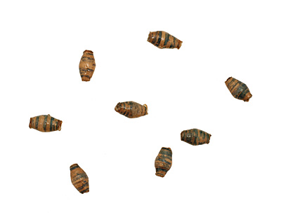 African Paper (beige, forest) Rice 9-10x6mm