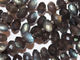 Labradorite Faceted Rondelle 11mm