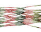 Tourmaline Faceted Rondelle 2mm