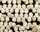 Magnesite Flat Drops 12x16mm
