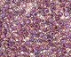 TOHO Rainbow Rosaline (with Opaque Purple Lining) Round 15/0 Seed Bead