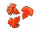 C-Koop Enameled Metal Flame Orange Large Maple Leaf 40x46mm