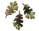 C-Koop Enameled Metal Leaf Green Large Oak Leaf 33x63mm