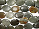 Eagle Eye Jasper Flat Oval 35x25mm