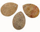 Fossil Coral Flat Teardrop Pendant 32x45mm