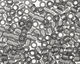 TOHO Transparent Gray Treasure #1 Seed Bead