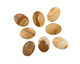 Picture Jasper Oval Cabochon 18x25mm