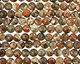 Red Forest Agate Puff Coin 14mm