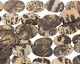 Artistic Jasper (matte) Flat Freeform Slab 36-49x25-30mm