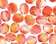 Czech Fire Polished Glass Dual Coated Fuschia/Tangerine Round 4mm