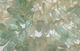 Green Fluorite Faceted Spear Drops 6-11x9-22mm