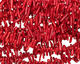 Bamboo Coral Stick 3-4x13-16mm