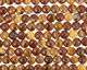 Golden Zebra Jasper Puff Coin 12mm