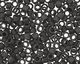 TOHO Opaque Frosted Jet Treasure #1 Seed Bead