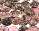 Rhodonite Flat Oval 40x30mm