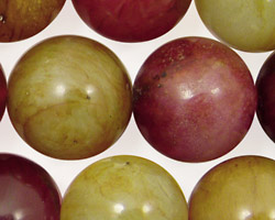 Rainbow Soocho Jade Round 20mm