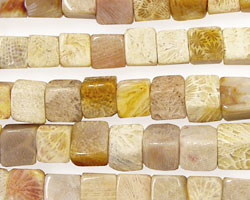 Fossil Coral Cube 6mm