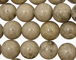 Petoskey Stone Round 12mm