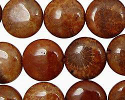 Fossil Coral (red) Puff Coin 16mm
