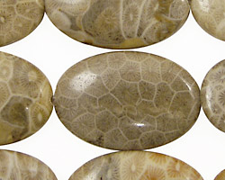 Petoskey Stone Flat Oval 30x20mm