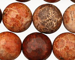 Fossil Coral (red) Faceted Round 18mm