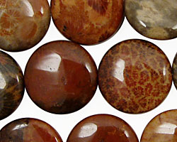 Fossil Coral (red) Puff Coin 20mm