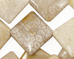 Fossil Coral Diamond 26-27mm
