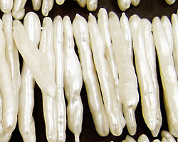 Pearly White Biwa Stick Top-Drilled 26-36mm