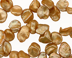 Champagne Keishi Drop 8-9x10-14mm