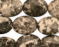 Black Tree Agate Flat Oval 20x15mm