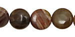 Russian Fossil Stone Puff Coin 15mm