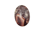 Porcelain Jasper Oval Cabochon 18x25mm