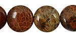 Fossil Coral (red) Puff Coin 20mm